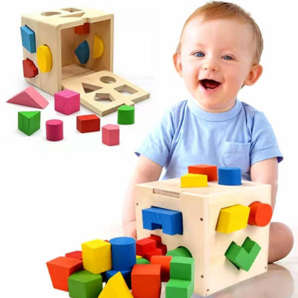 Fifteen Hole Shape Intelligence Box